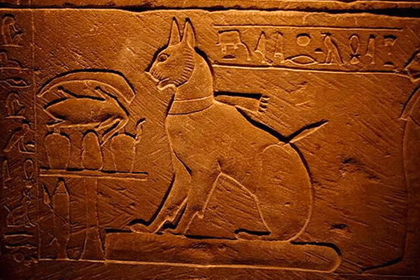 Изображение кошки в Древнем Египте